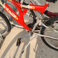 bici mountain bike / donna