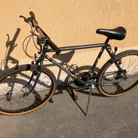 Bottecchia Carnielli bicicletta mtb