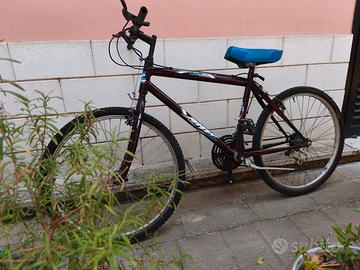 Mountain Bike (MTB) con cambio Shimano