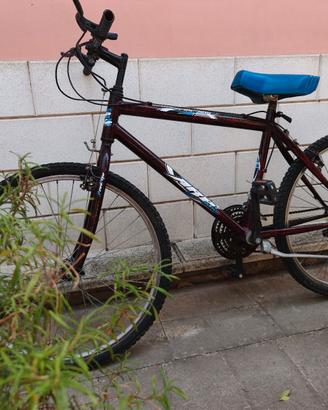 Mountain Bike (MTB) con cambio Shimano