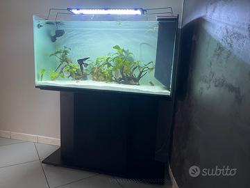 Acquario 100x40x50 completo