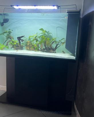 Acquario 100x40x50 completo
