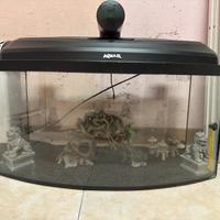 Acquario