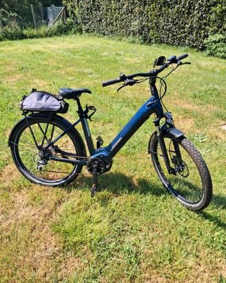 Bicicletta eletrica