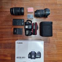 Canon 80D, sigma 17-50mm, canon 18-200mm
