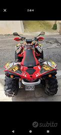 Can am renegade 800 quad