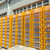 gabbie  trasporto pollame