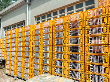 gabbie  trasporto pollame