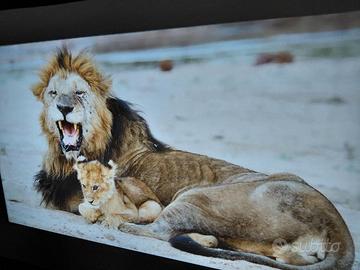 Proiettore 2K Everycom E700 Pro 2560x1440p