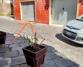 Locale ristrutturato in centro a Cetara
