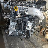 Motore Volkswagen Audi 2.0 TDi DXN