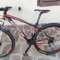 MTB Bottecchia GAVIA 29 Reparto Corse