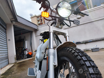 Morino elettrico cake makka