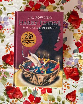 Libro “Harry potter e il calice di fuoco”