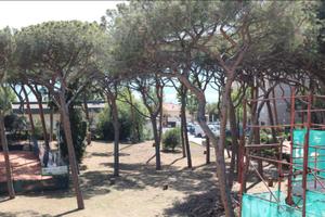 Follonica fronte pineta ponente 100 Mt dal mare