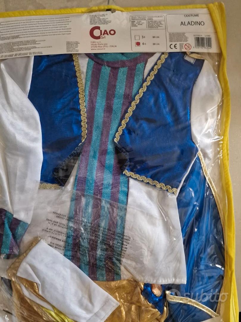 Vestito carnevale principe azzurro - Abbigliamento e Accessori In vendita a  Caserta