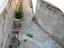 Immagine 11