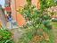 Immagine 12