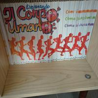 Collana di libri completa il corpo umano