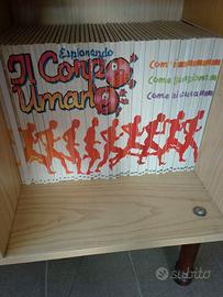 Collana di libri completa il corpo umano