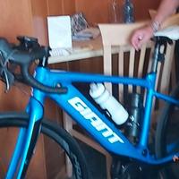Bici da corsa assistita 