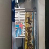 Kenworth smpkey and the bandit  protagonista del f