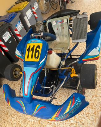 Top Kart motore Rok 125