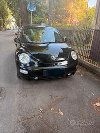 New beetle