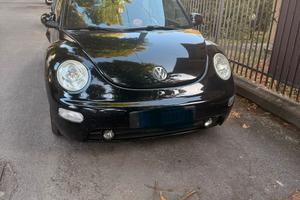 New beetle