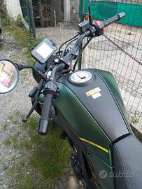Benelli Leoncino 125 euro 5