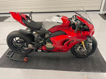Ducati panigale v4s 2024