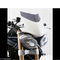 Triumph speed triple 1050