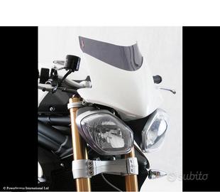 Triumph speed triple 1050