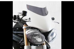 Triumph speed triple 1050