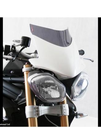 Triumph speed triple 1050