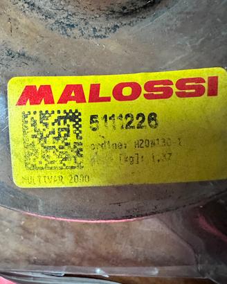 Variatore malossi