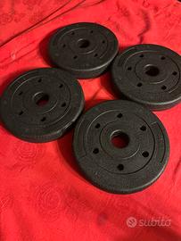 Lotto 4 Dischi Peso 1,5kg (Totale 6kg)