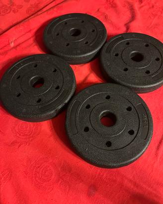 Lotto 4 Dischi Peso 1,5kg (Totale 6kg)