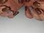 Immagine 9