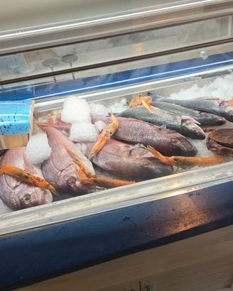  espositore pesce