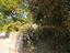 Immagine 13