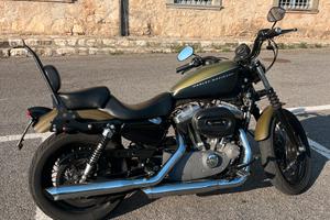 Sportster Harley Davidson 1200 XL Nighster