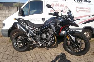 Triumph Tiger 900 GT Pro del 2024 compreso trapass