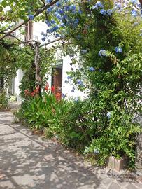 Casa villa