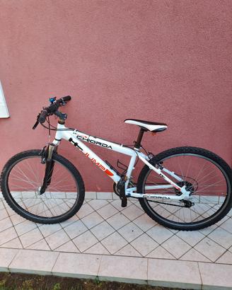 bici chiorda jump