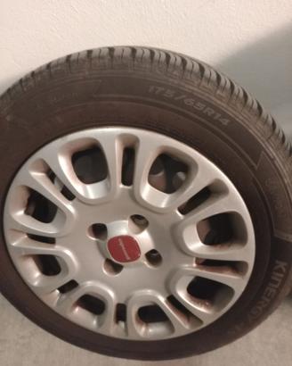 Gomme neve + cerchio +borchia Panda 175 65 r14
