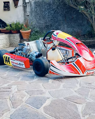 go kart birelart