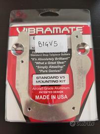 Vibramate V5 per bigsby B5