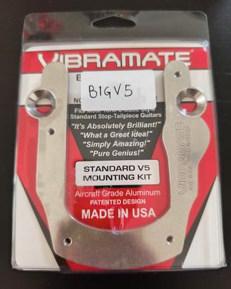 Vibramate V5 per bigsby B5