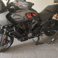 Panamerica 1250 special